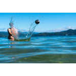 Waboba Pro - Image 4