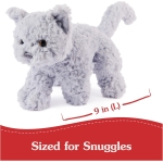 Bootsie English Blue Kitten - Image 3