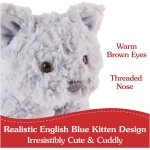Bootsie English Blue Kitten - Image 4