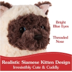 Bootsie Siamese Kitten - Image 4