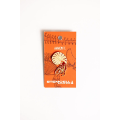 Ammonite Pin-by-Stemcell Science