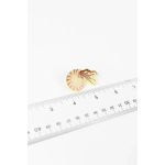 Ammonite Pin - Image 4