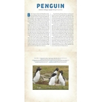 Birds: A Photicular Book - Image 2