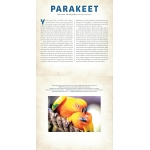 Birds: A Photicular Book - Image 3