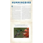 Birds: A Photicular Book - Image 4