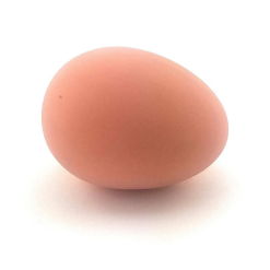 Bouncy Egg-by-One For Fun