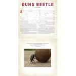 Bugs: A Photicular Book - Image 4