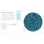 Draw Tiny: Artful Doodling Activities - Image 2