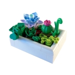 LEGO Botanicals: Tiny Desert Garden - Image 2