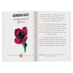 LEGO Botanicals: Tiny Wildflower Bouquet - Image 3