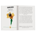 LEGO Botanicals: Tiny Wildflower Bouquet - Image 4