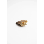 Mosasaurus Tooth - Image 2