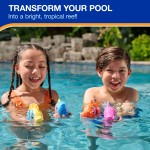 Rainbow Reef - Image 2