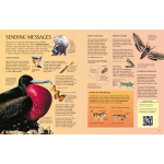 The Usborne Science Encyclopedia - Image 4