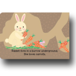 Woodland Babies: An Interactive Pull-the-Tab Board Book for Babies and Toddlers - Image 3