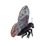 Blue Morpho Puppet - Image 3