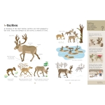 Do You Know?: Polar Animals and Other Cold-Climate Creatures - Image 4