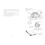 The Monarchs of Winghaven - Image 3